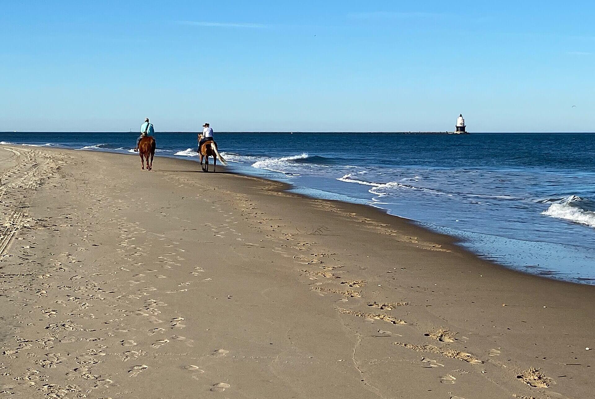 A paved bike trail through coastal pine forest near Lewes, Delaware